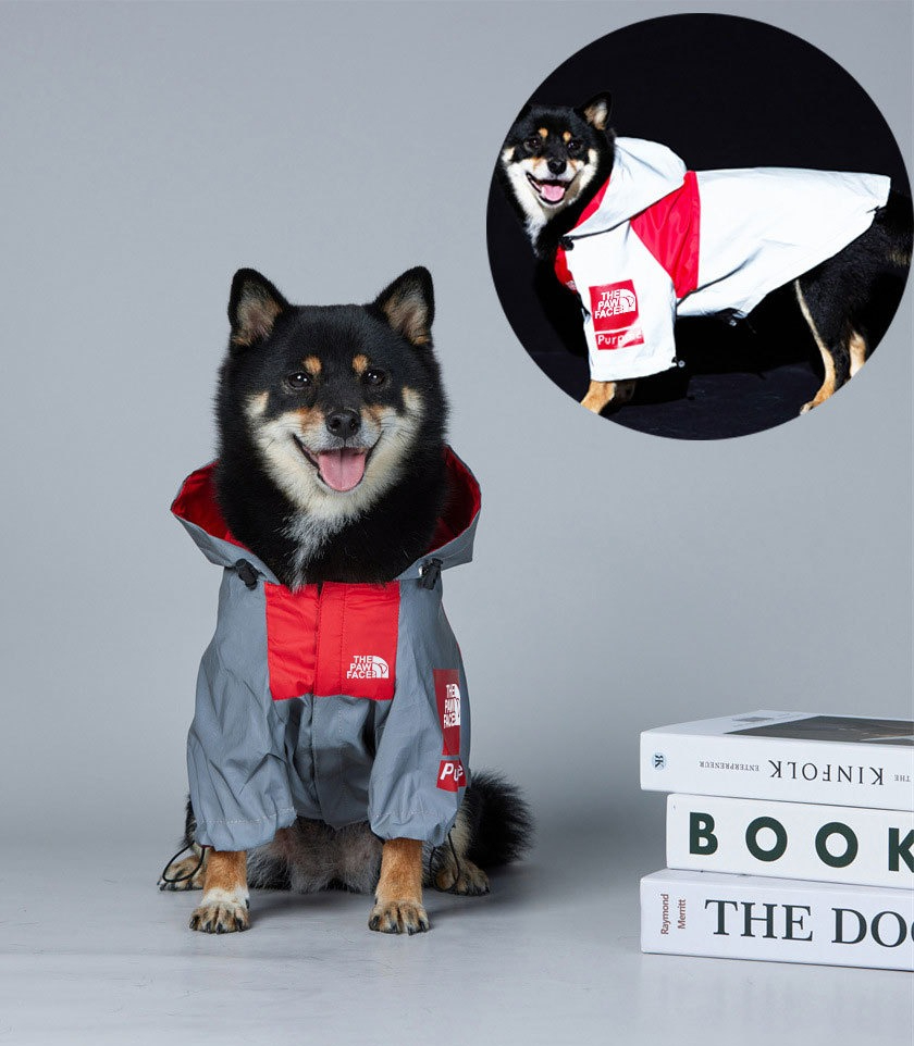Jaket Anjing Tahan Angin dan A - Outdoor Adventures Clothing ulasan dan harga