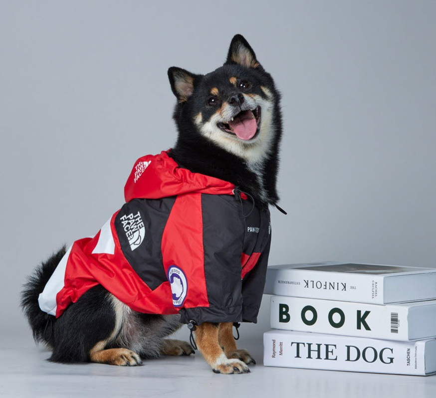Jaket Anjing Tahan Angin dan A - Outdoor Adventures Clothing ulasan dan harga